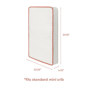 babyletto x Avocado Organic Mini Crib Mattress in White