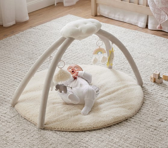 Activity Play Gym