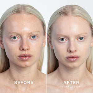 High Performance Tinted Moisturizer, Eco