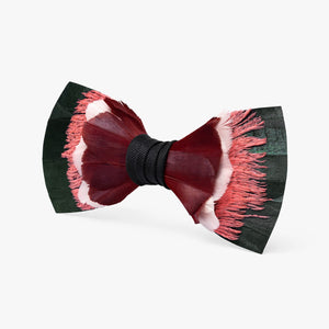 Marigot Bay Bow Tie