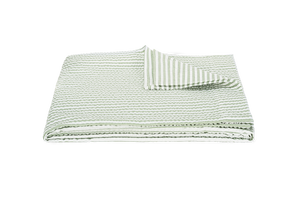 Matteo Coverlet in Palm