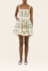 Lima Laguna Mini Dress