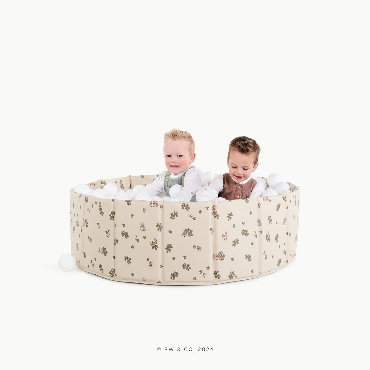 Peter Rabbitª@little boys playing in ball pit