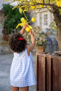 Brigitte Dress in Blue & Flowers