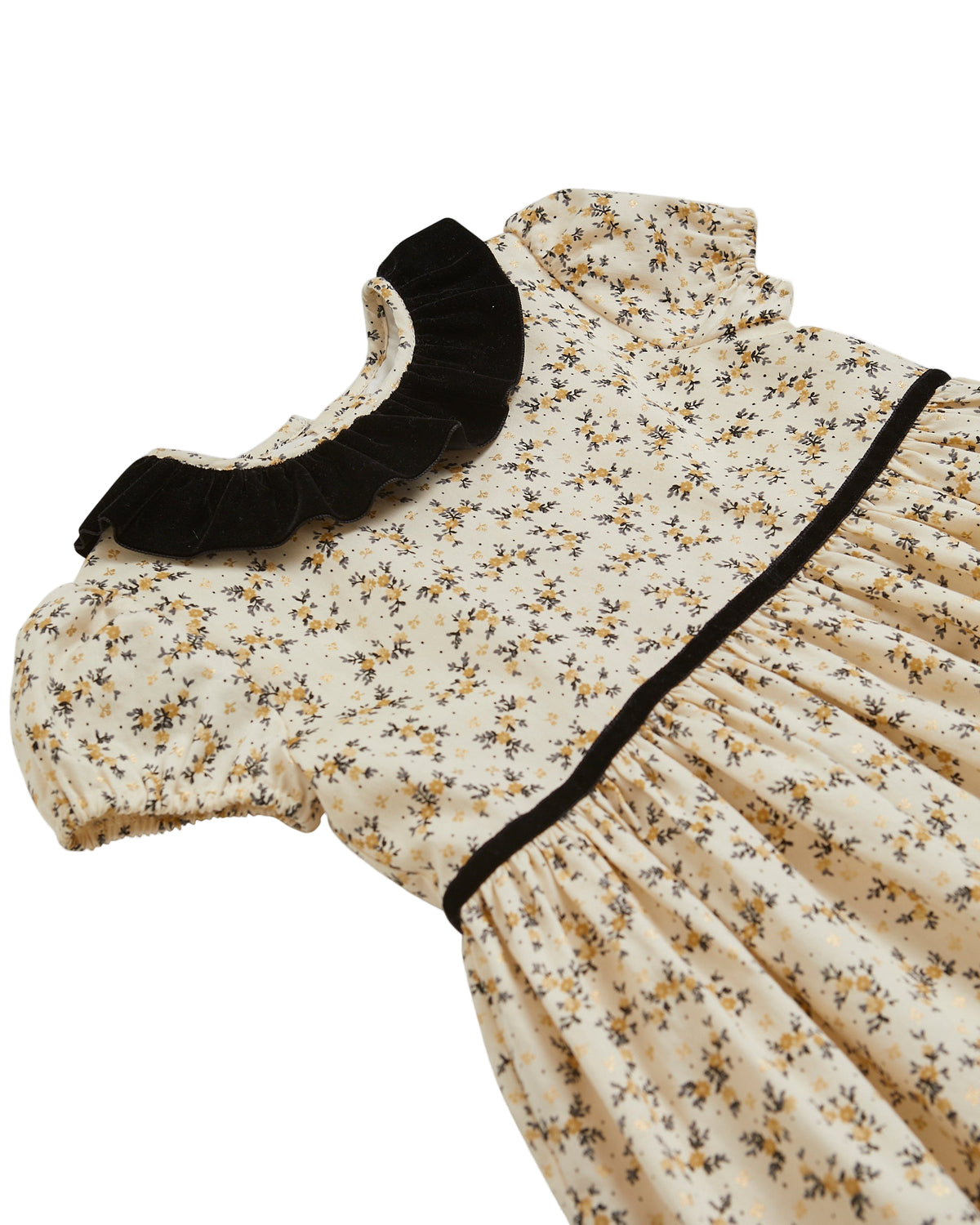 Raisin Dress Black/Gold Floral