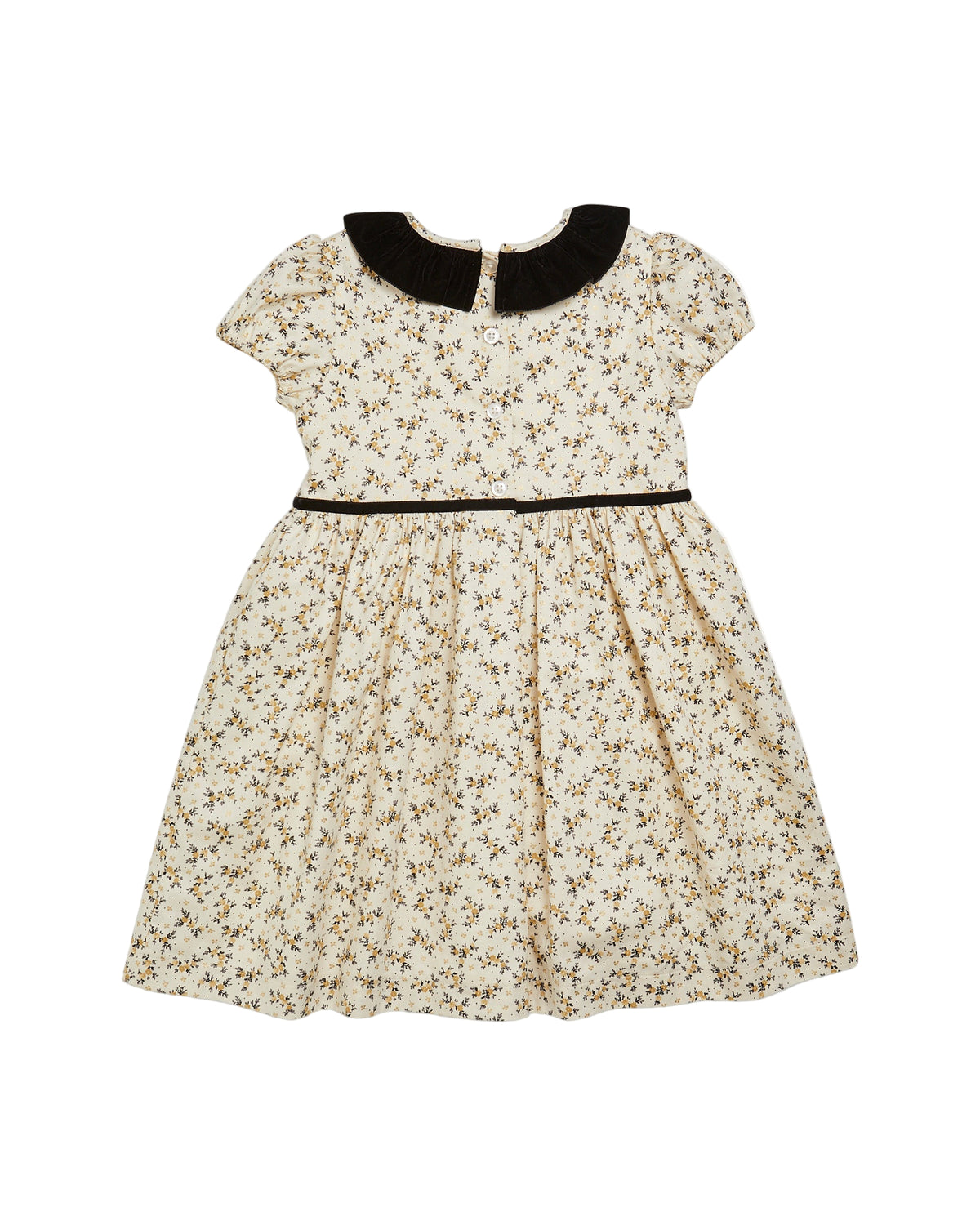 Raisin Dress Black/Gold Floral