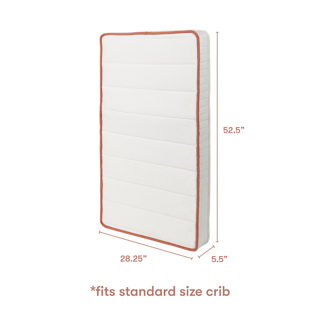 babyletto x Avocado Dual-stage, Organic & Non-Toxic Crib Mattress in White