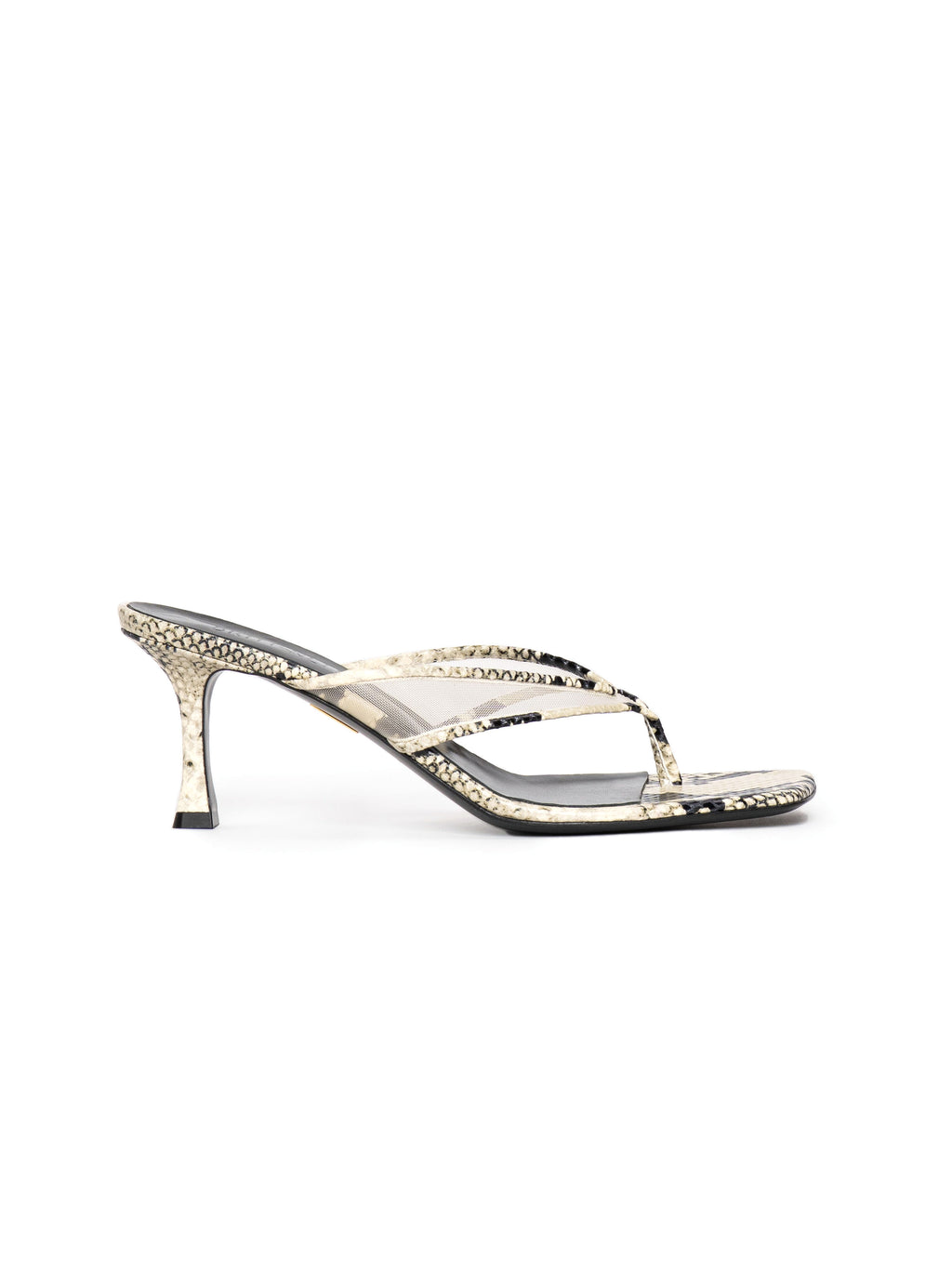 Seline 60 in Snake