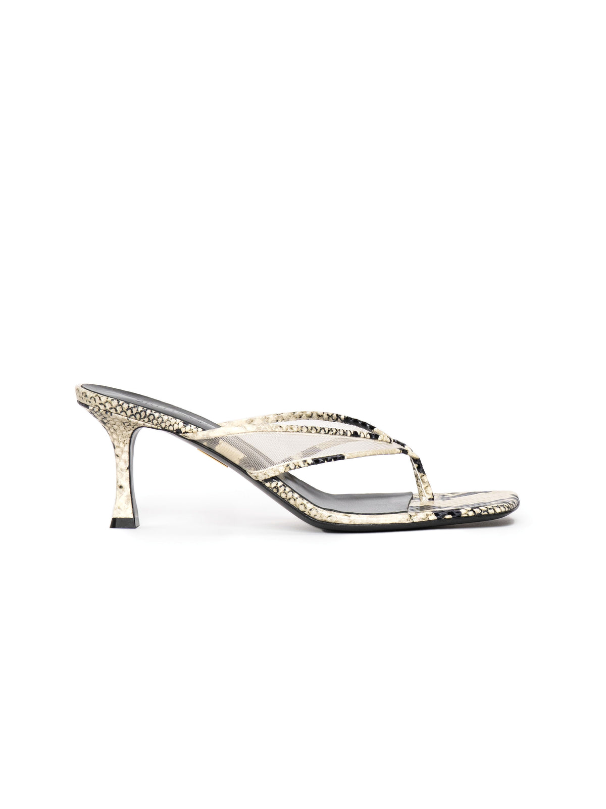 Seline 60 in Snake