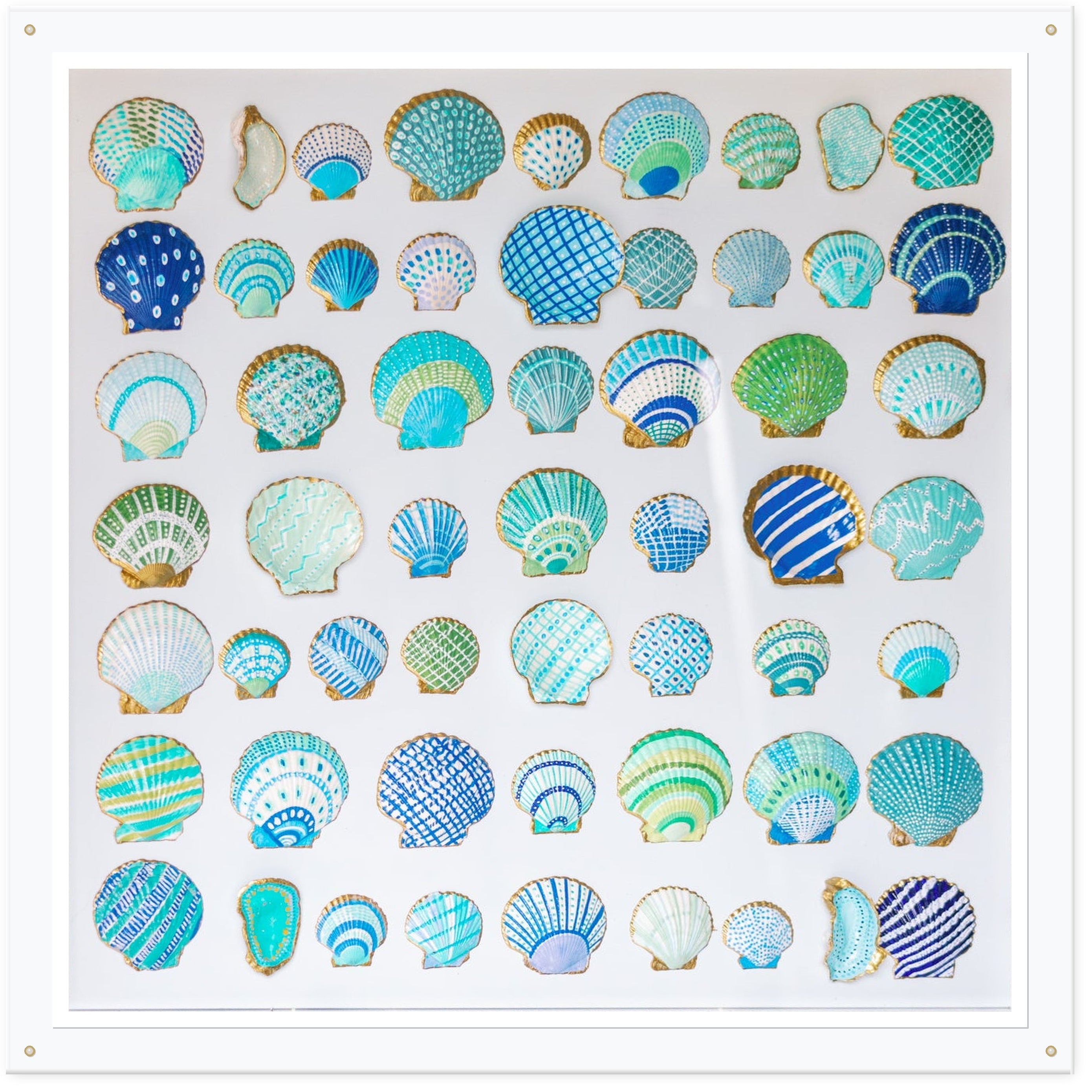 36"x 36" Shell Artwork by Erin Donahue Tice