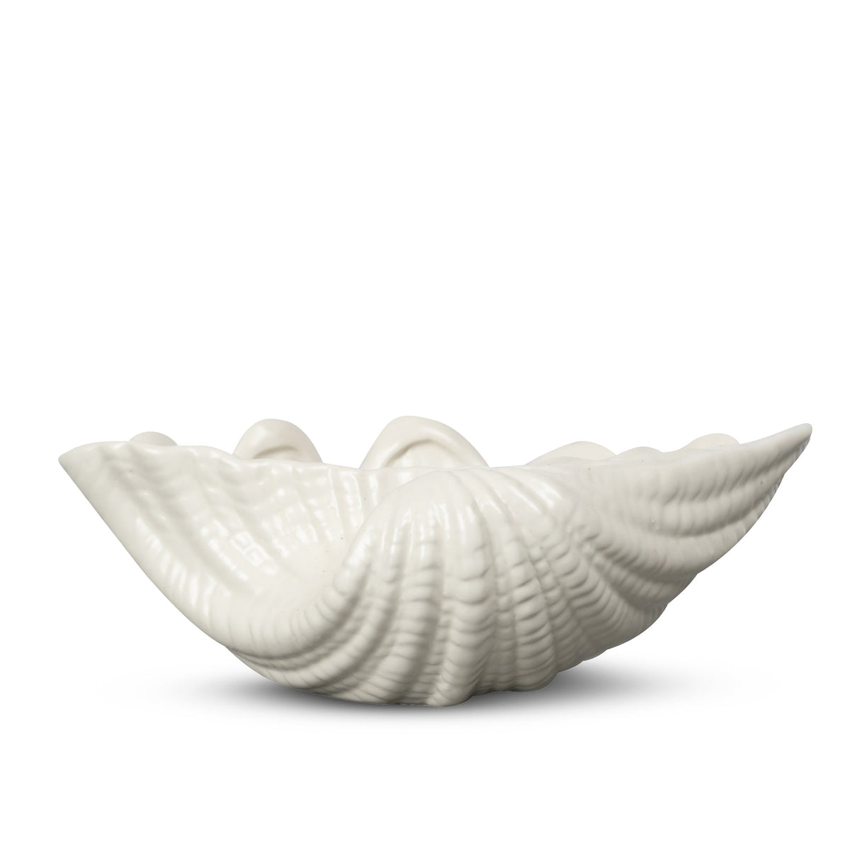 Side view of Shell Bowl in White Ceramic showcasing its twisted shell shape against a white background