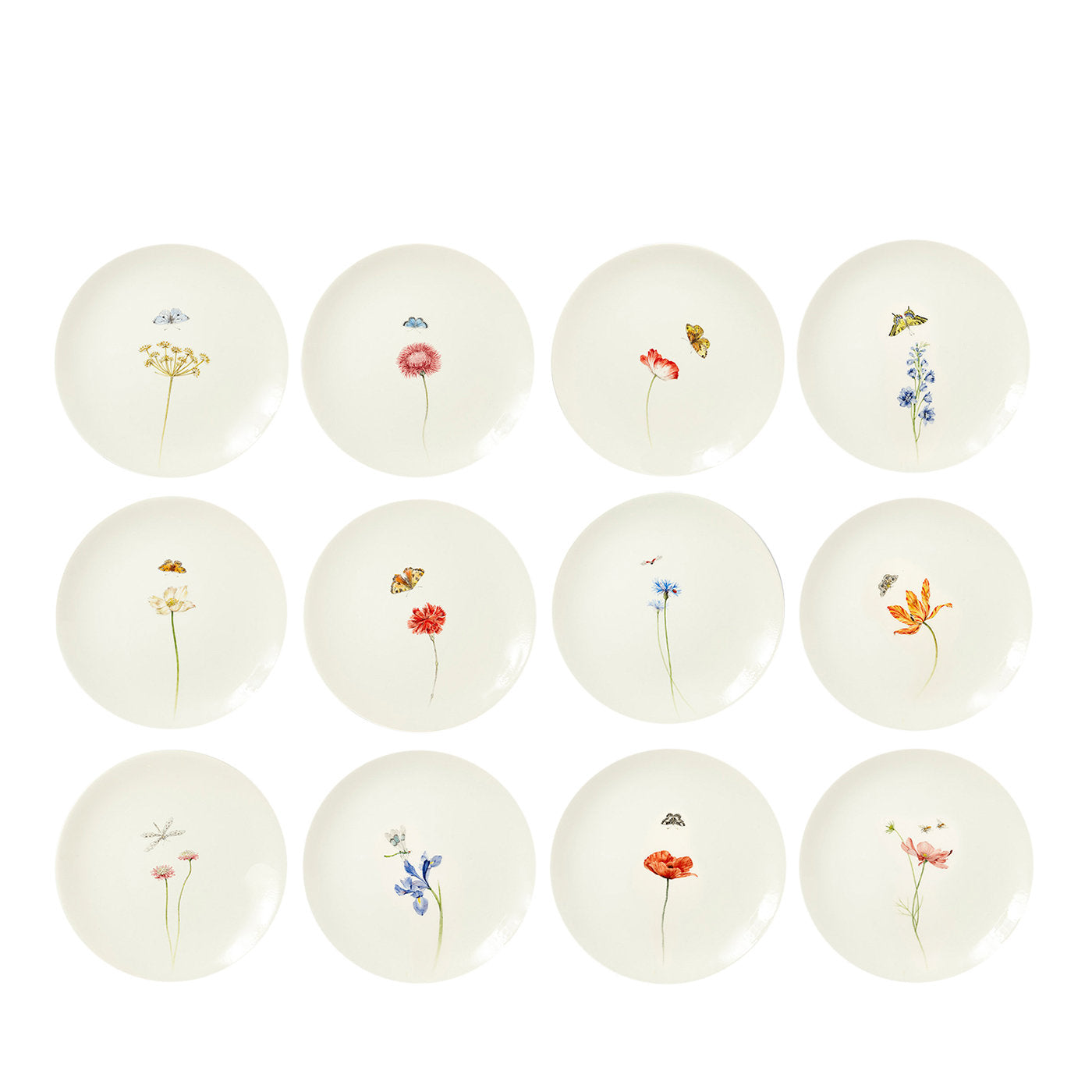 Bloom Hand-Painted Ceramic Dinner Plates Set of 12