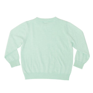 Boys mint green crewneck sweater by Henry Duvall, classic knit fall layer that coordinates with Beacon Hill Blooms for family and sibling outfits
