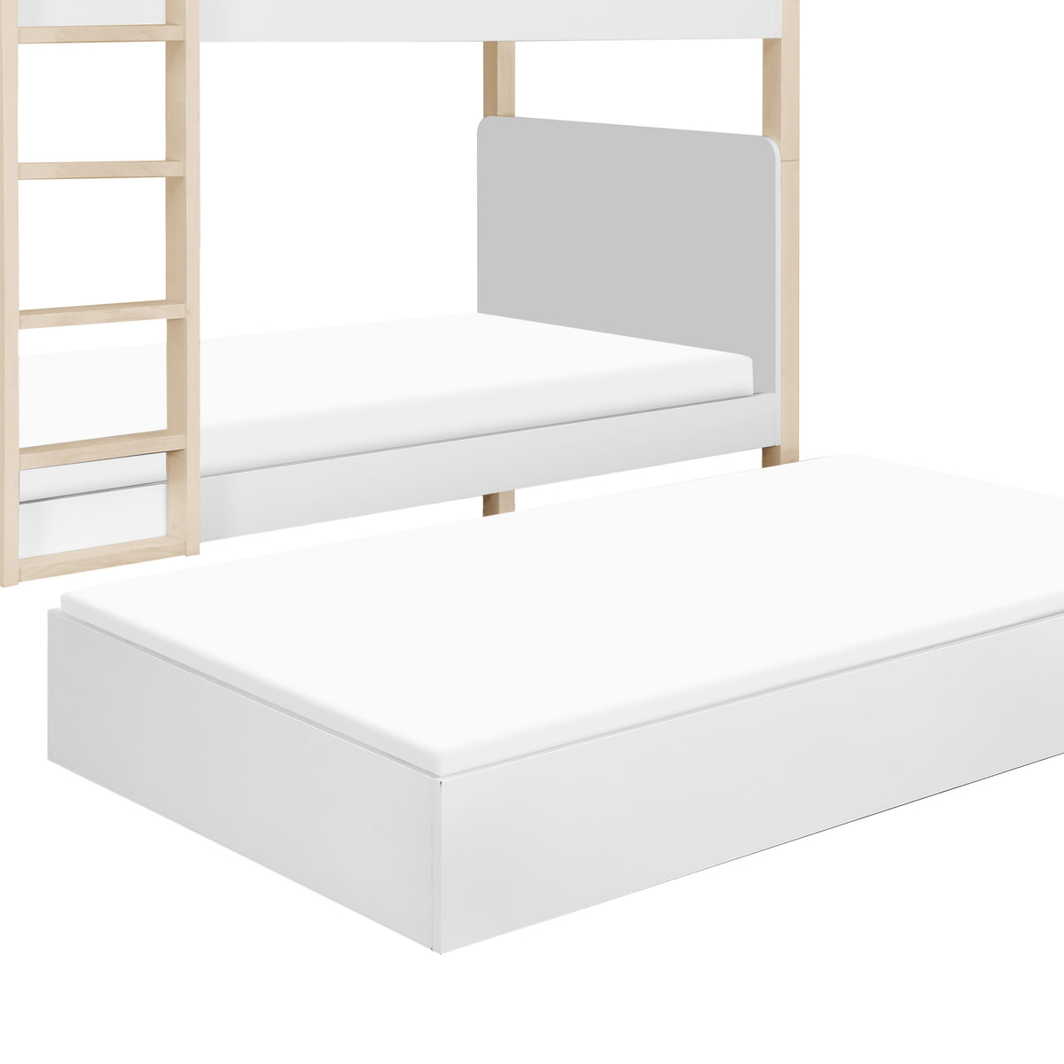 TipToe Bunk Bed in White & Washed Natural