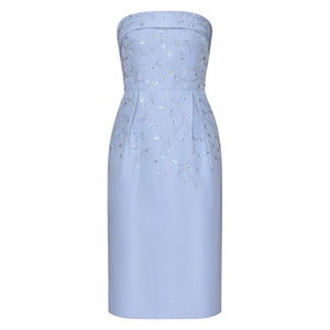 the-celine-dress