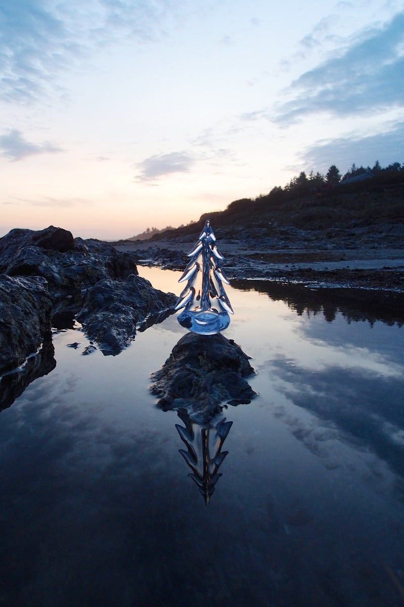 Front view of Vermont Evergreen handblown glass tree showing layered branches and reflection in a rocky tidal pool at sunset