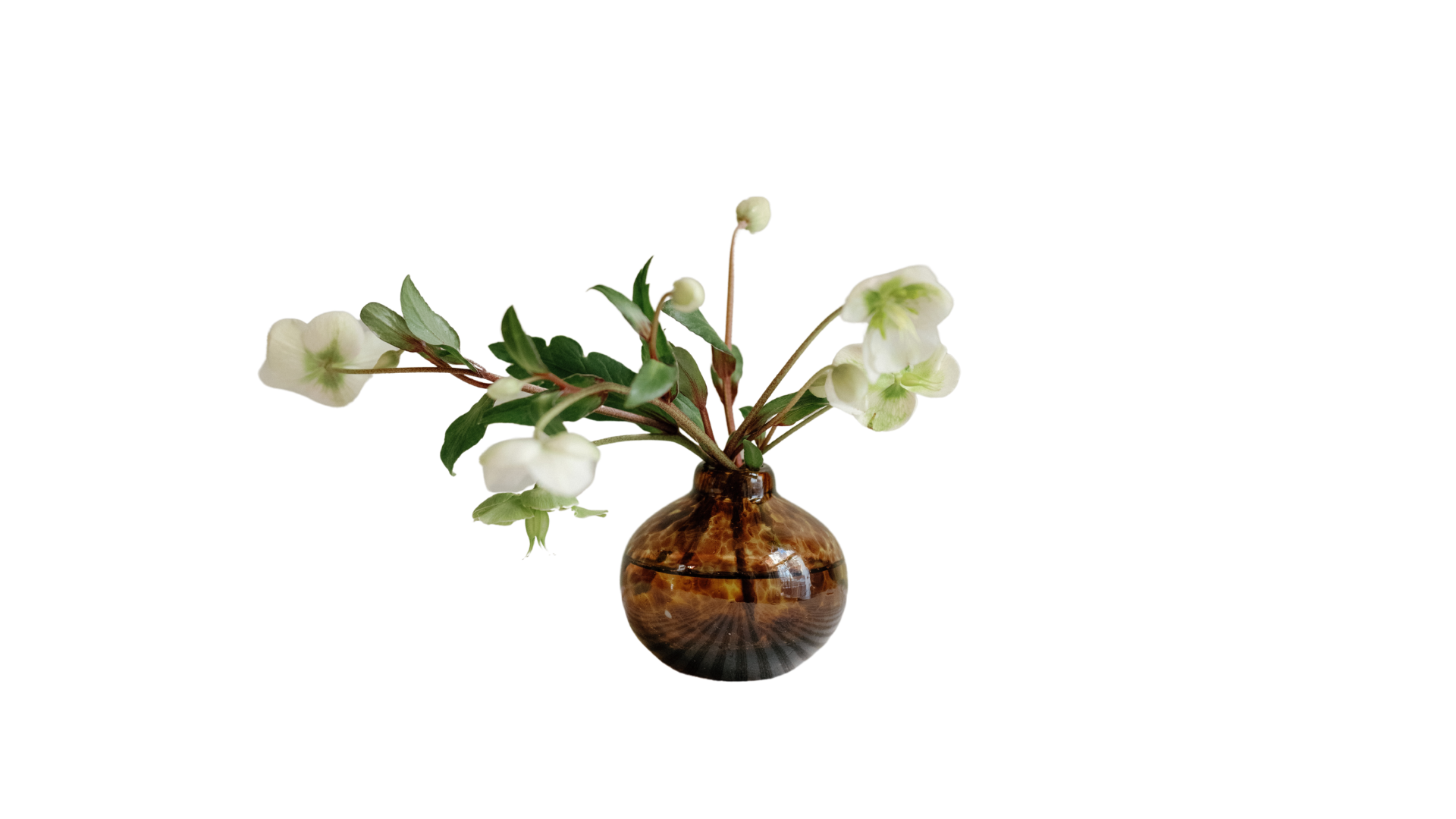 Bud Vase in Tortoiseshell