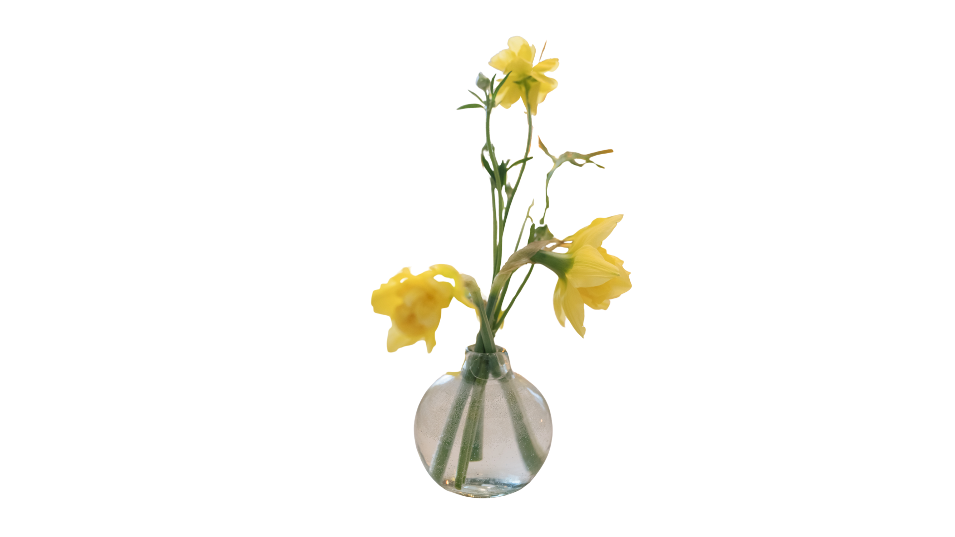 Bud Vase in Clear