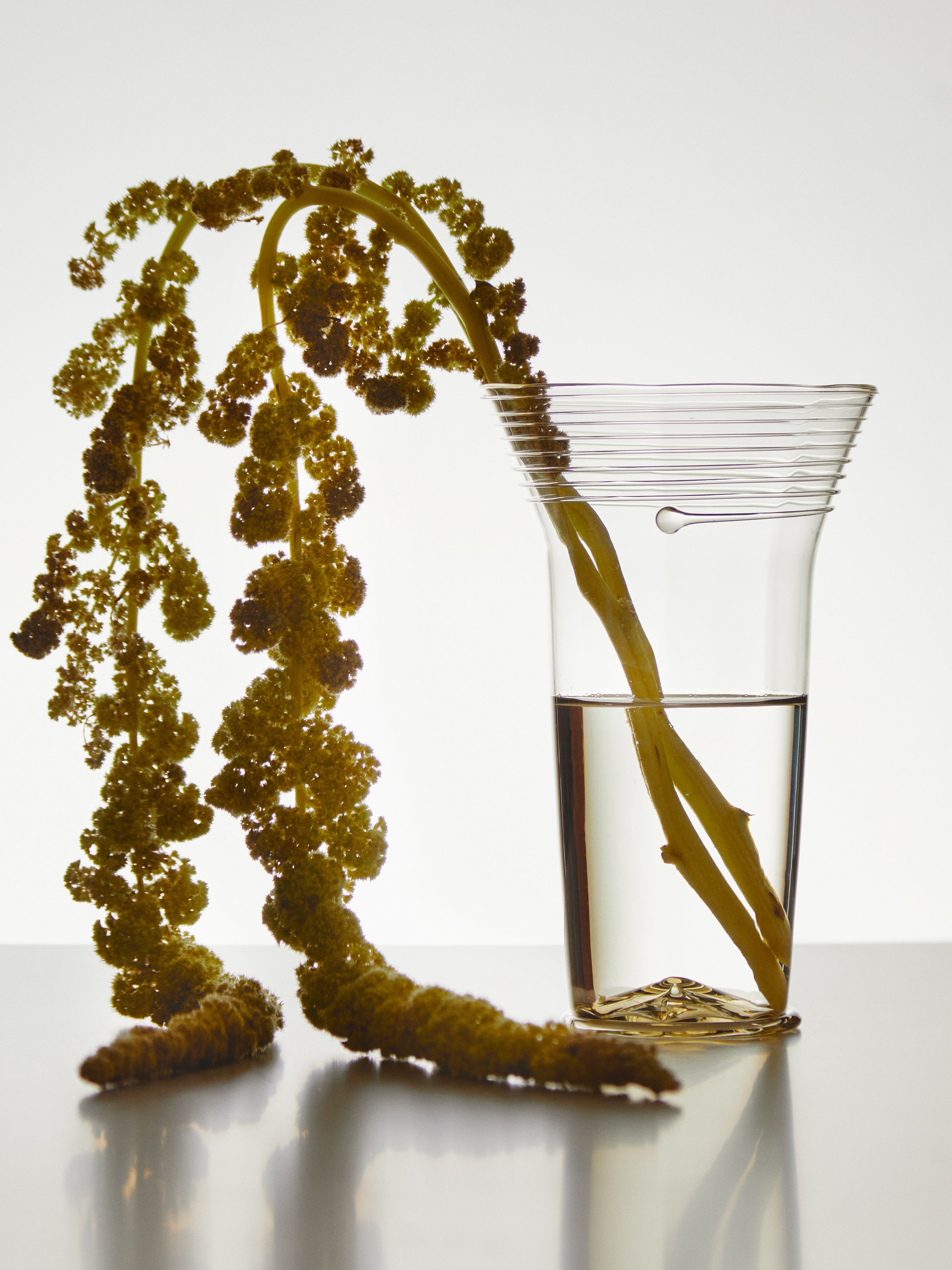 Bollenglass Hand-Blown Glass Vase (7.5in/19cm)