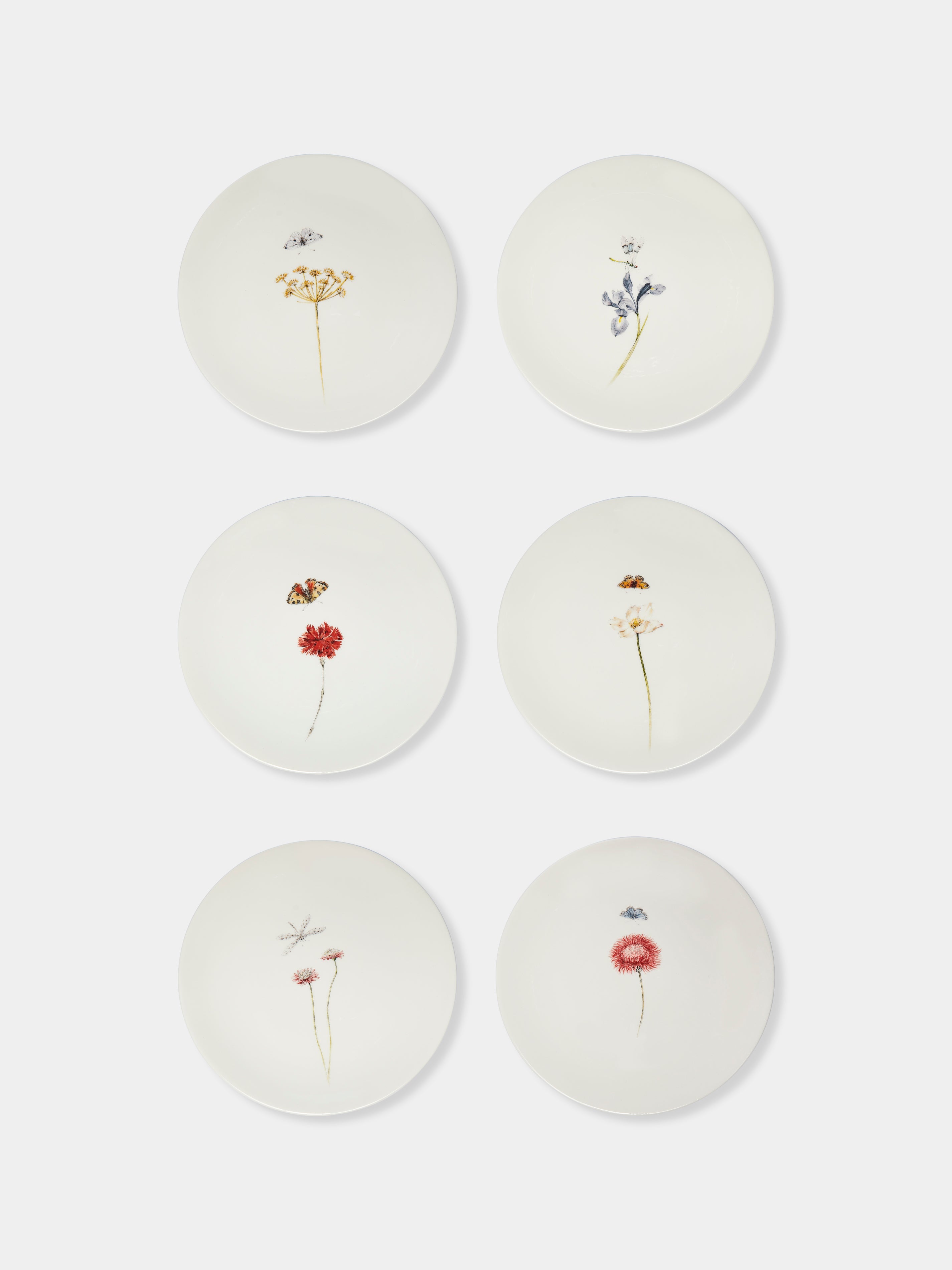 Bloom Ceramic Dinner Plates (Set of 6)