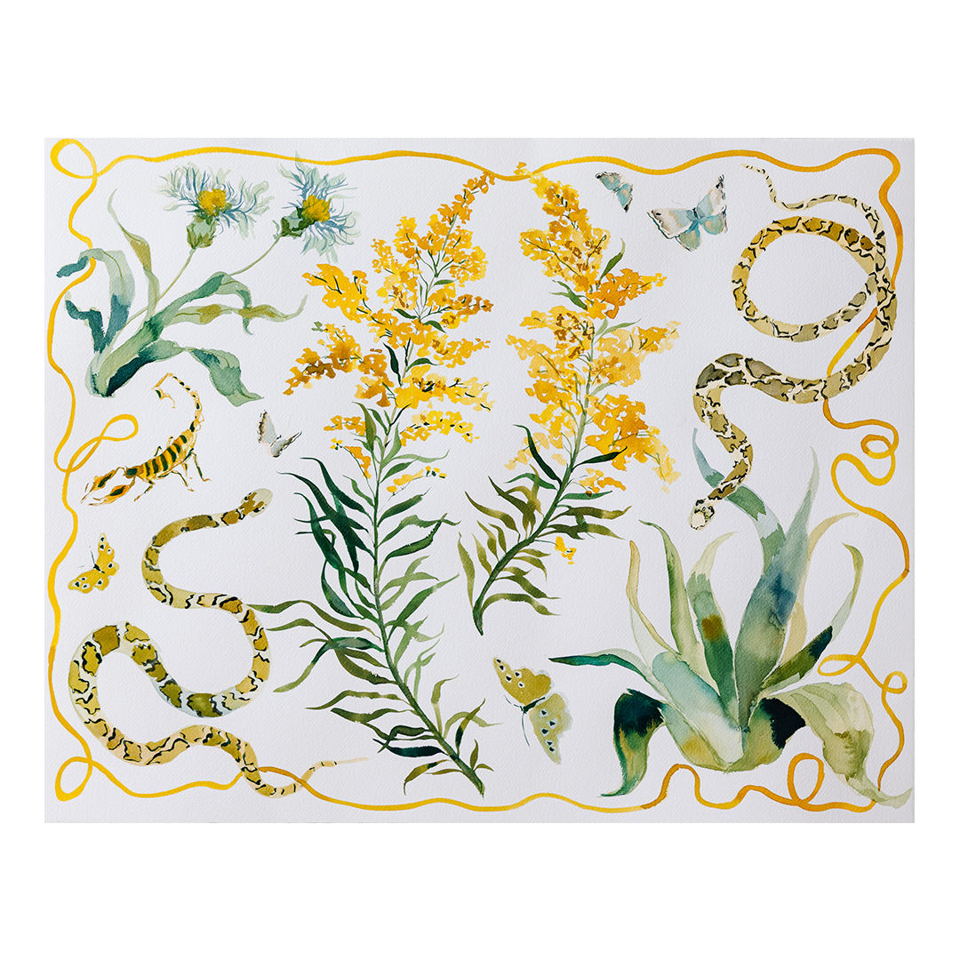 inslee watercolor texas wildflower snakes flowers butterflies