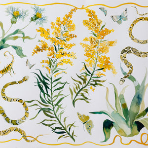 inslee watercolor texas wildflower snakes flowers butterflies