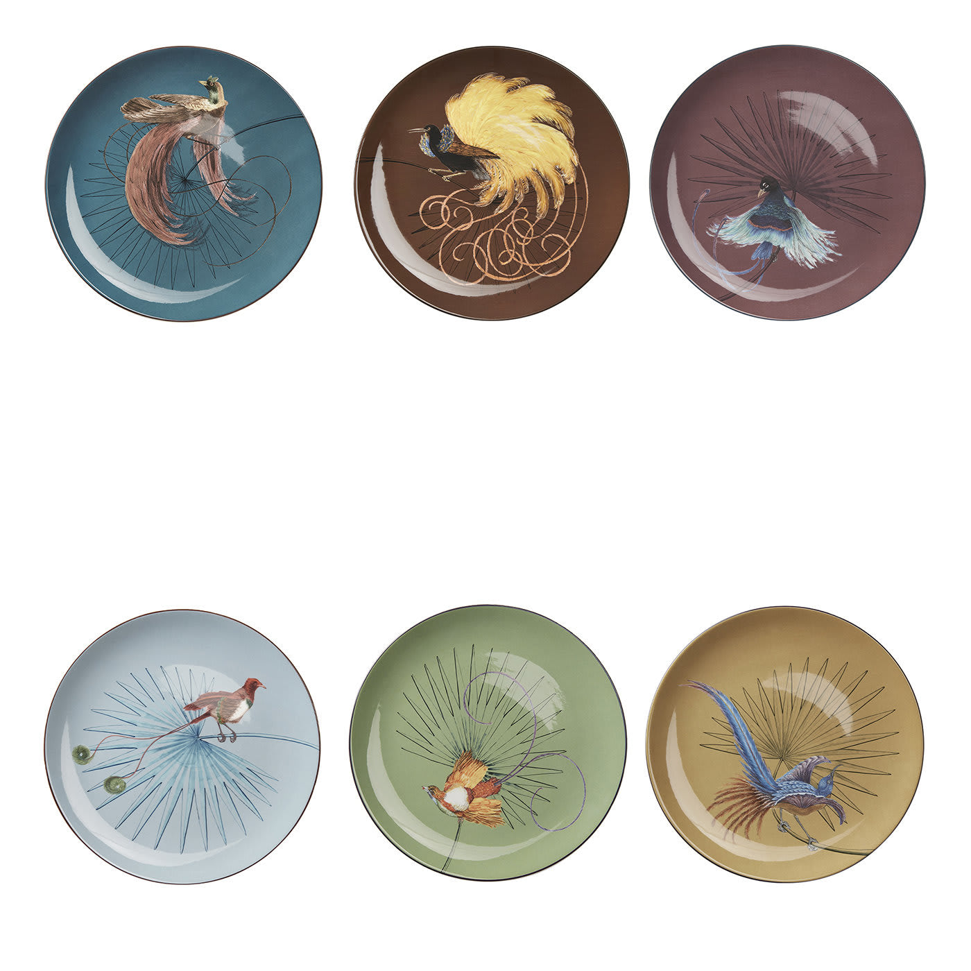 Birds of Paradise Dinner Plates Set of 6