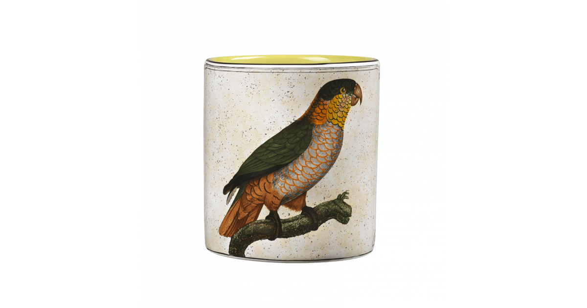 Small Vase Varieté Du Perroquet Maipouri