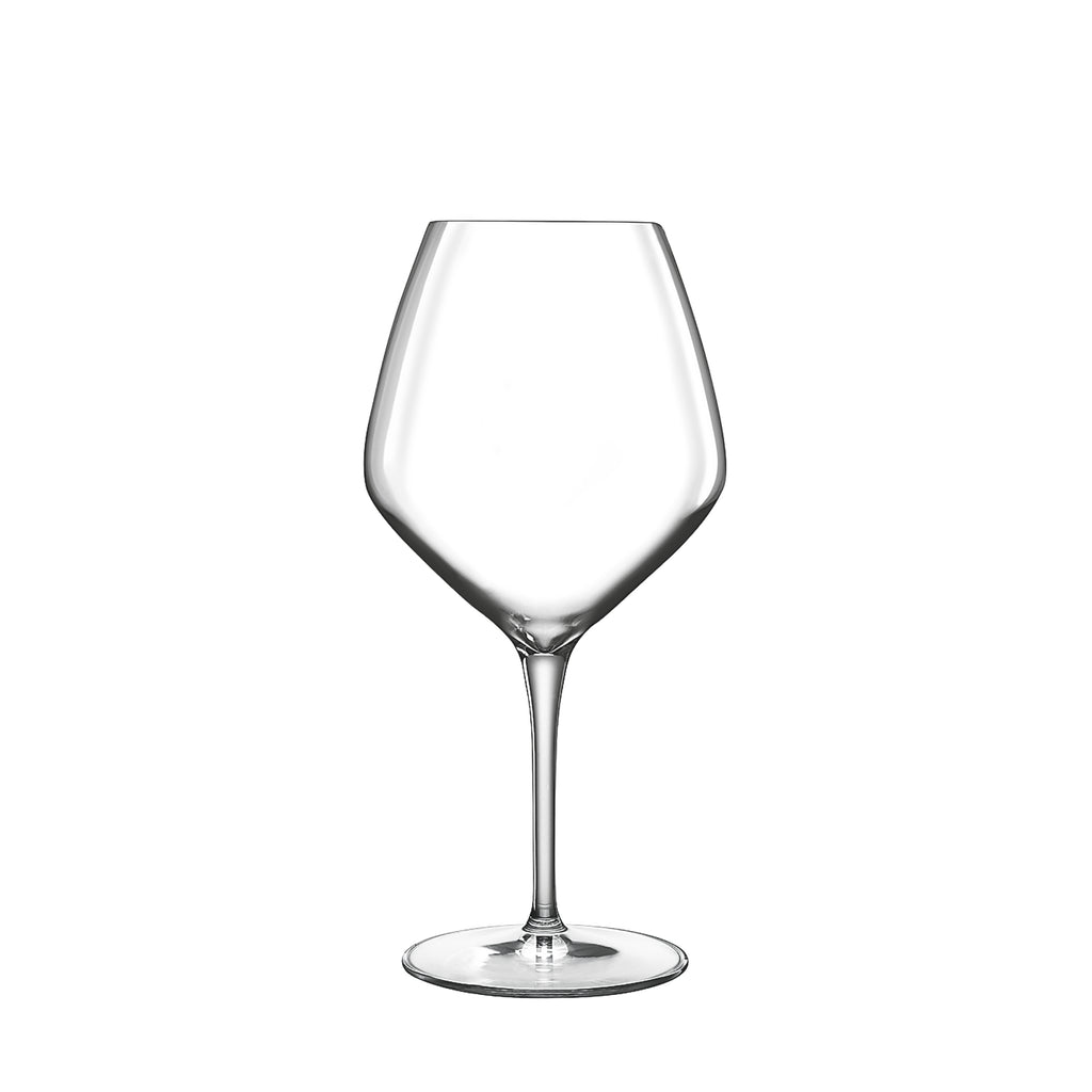 Atelier 21 oz Pinot Noir Red Wine Glasses (Set Of 6)
