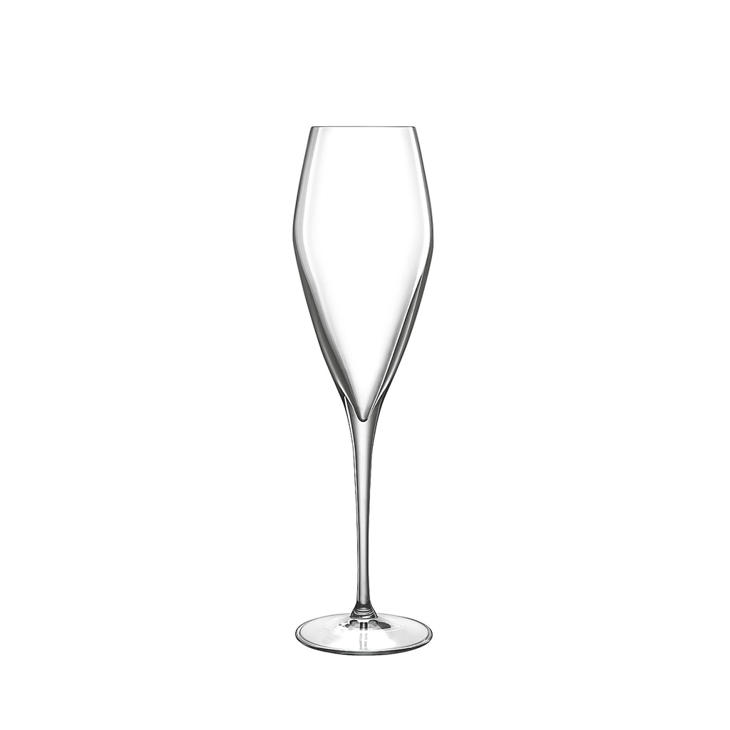 Atelier 9.25 oz Champagne Glasses (Set Of 6)