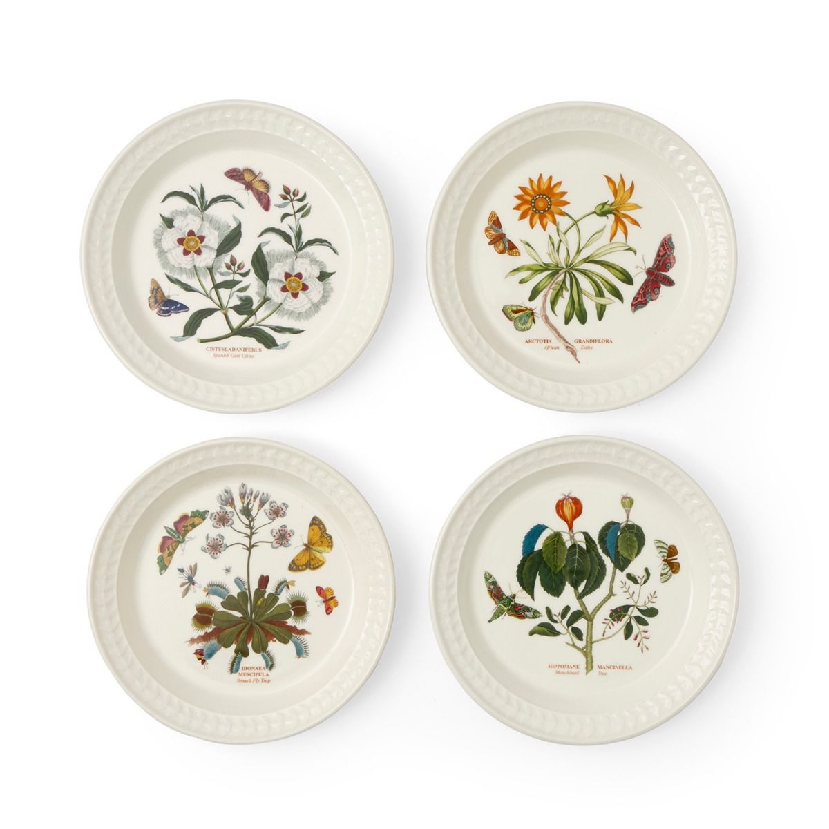 Botanic Garden Harmony Papilio Salad Plates Set of 4 (Assorted)