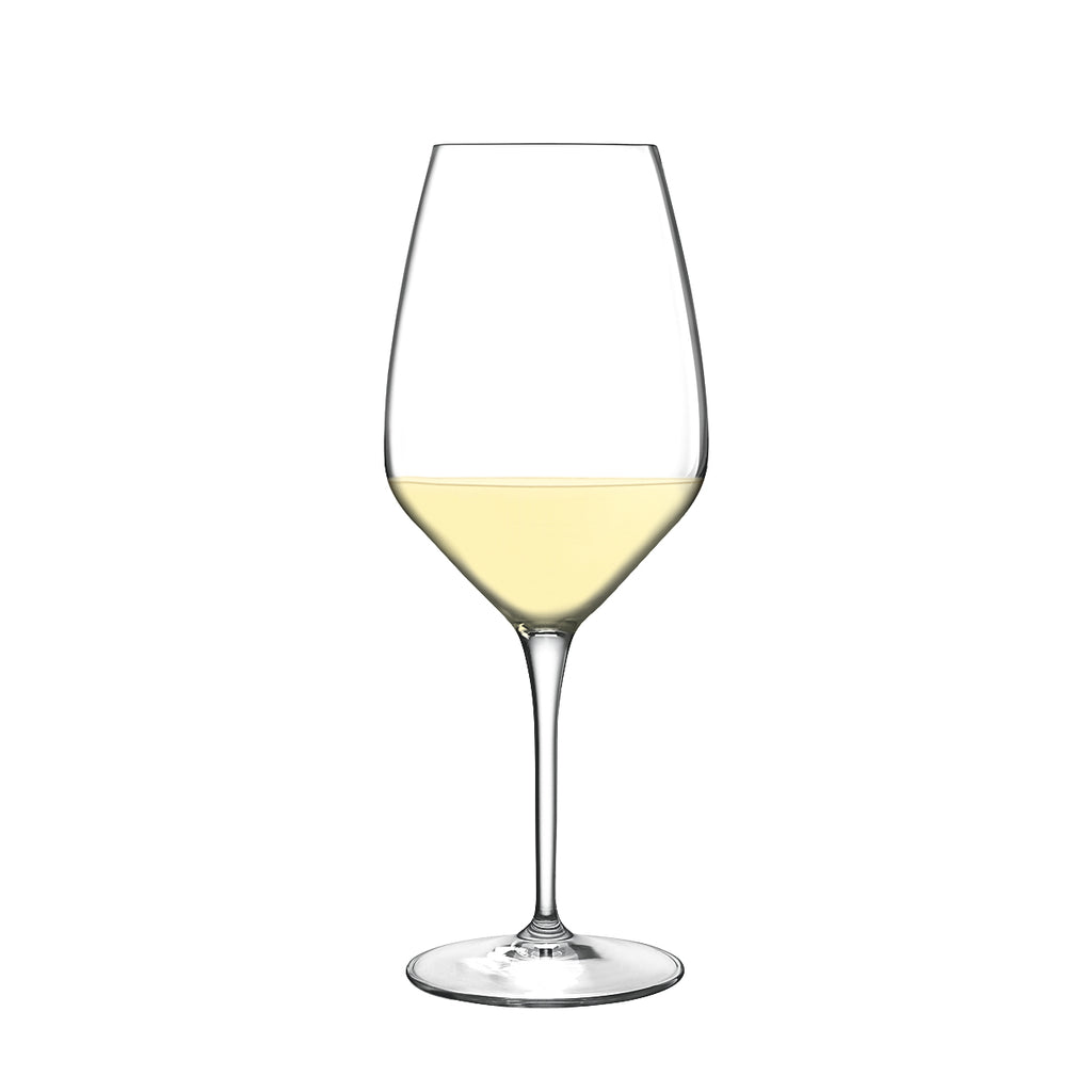Atelier 11.75 oz Sauvignon White Wine Glasses (Set Of 6)