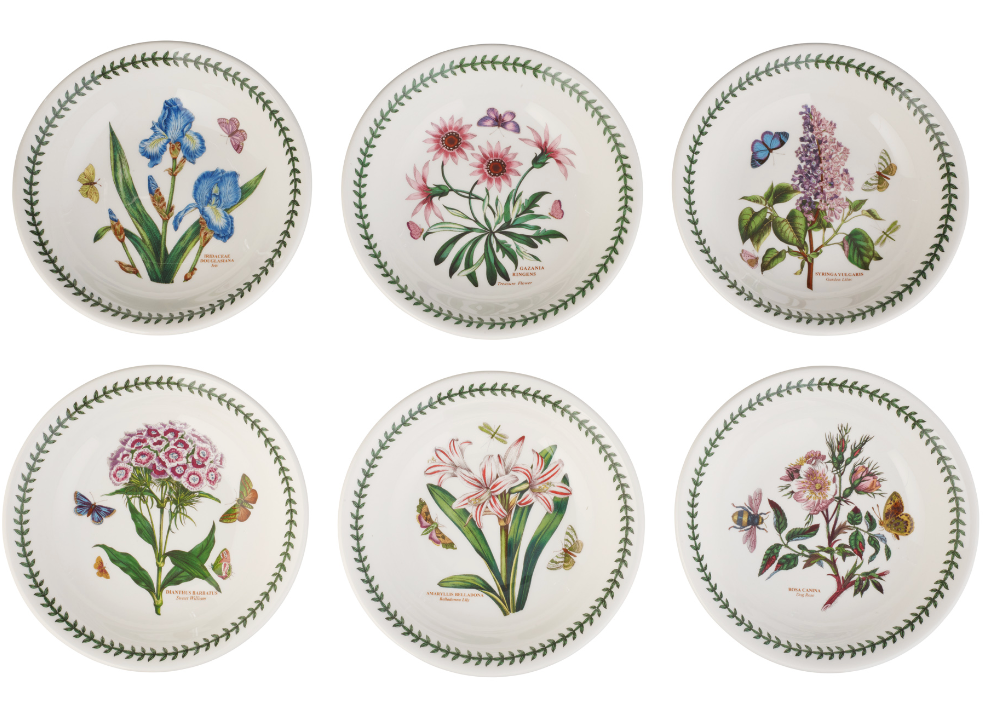 Botanic Garden 8.5 Inch Pasta/Low Bowls Set of 6 (Assorted Motifs)