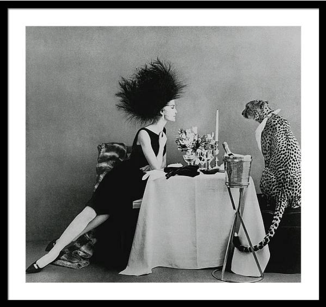 A Model With A Cheetah Framed Print