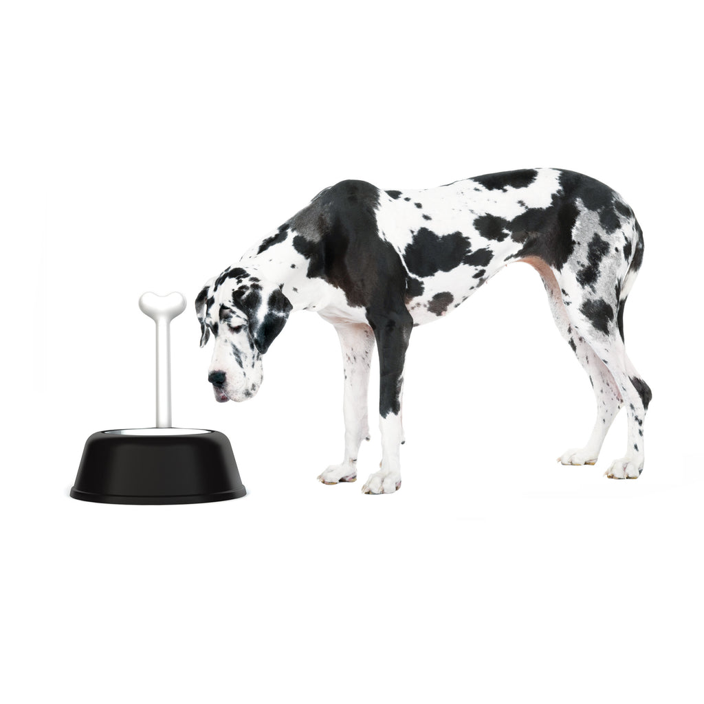 Alessi Lula Dog Bowls Black : : Pet Supplies