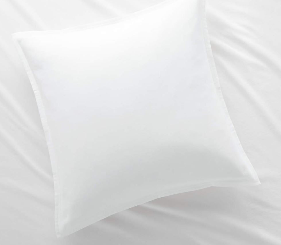 Aire Organic Cotton White Euro Bed Pillow Sham, Set of 2