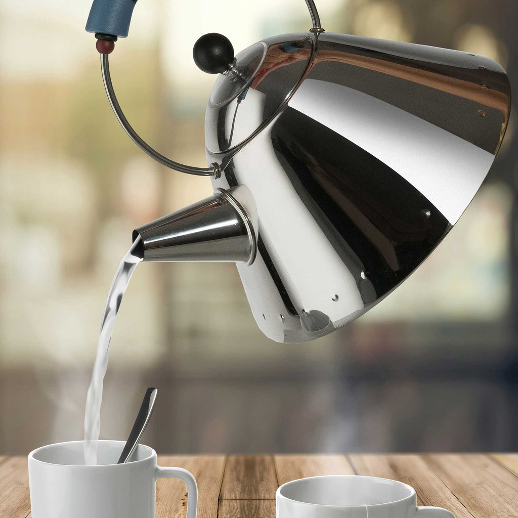 Water Kettle With Bird Shaped Whistle in Light Blue