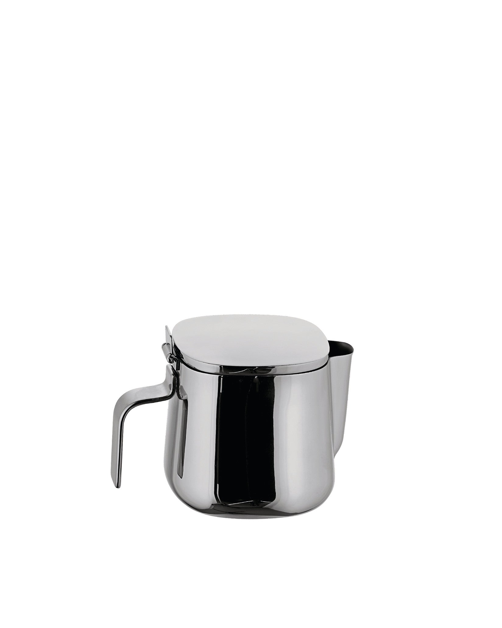 Stainless Steel Tea Pot