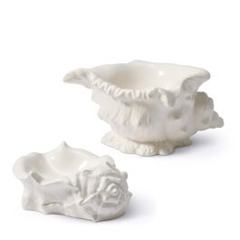 Conch Shell Dish, Set of 2