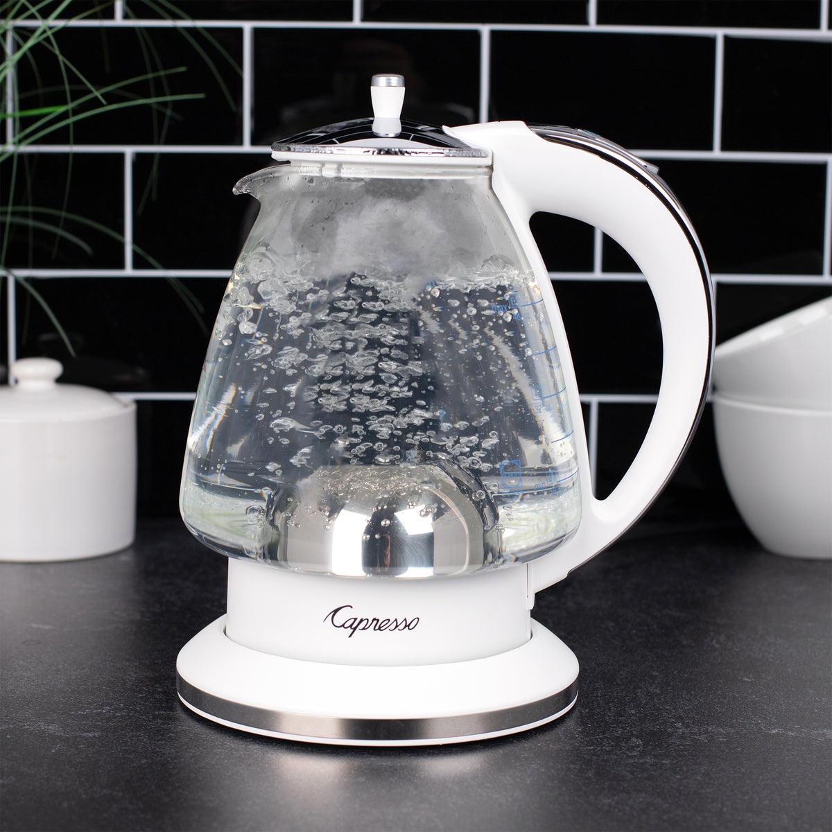 H2O Glass Water Kettle