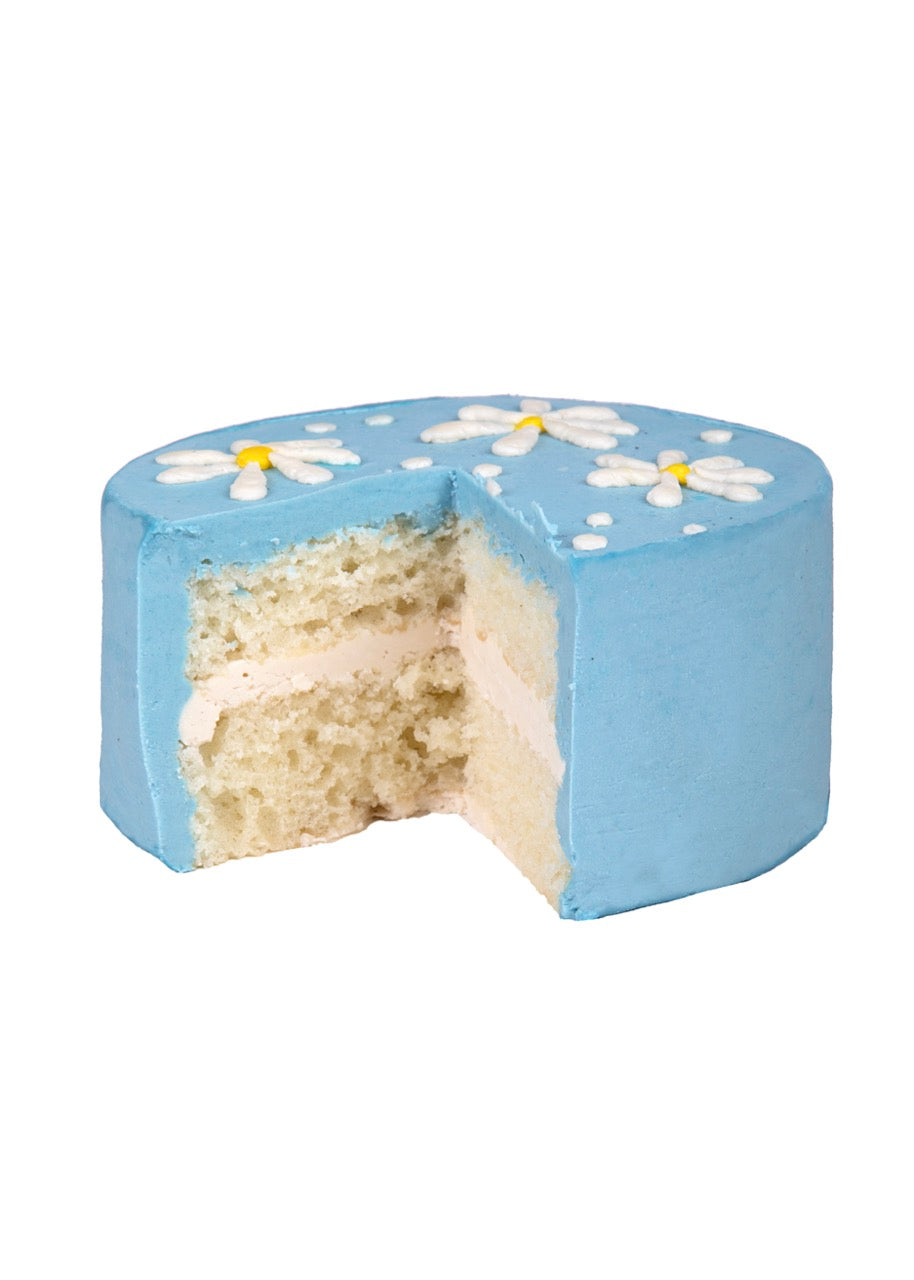 Floral Bento Box Cake Set, Set of 4