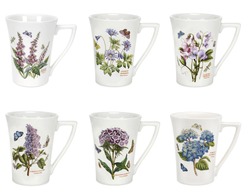 Botanic Garden 10 Ounce Mandarin Mug Set of 6 (Assorted Motifs)
