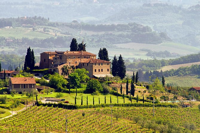 Wine Tasting in Tuscany
