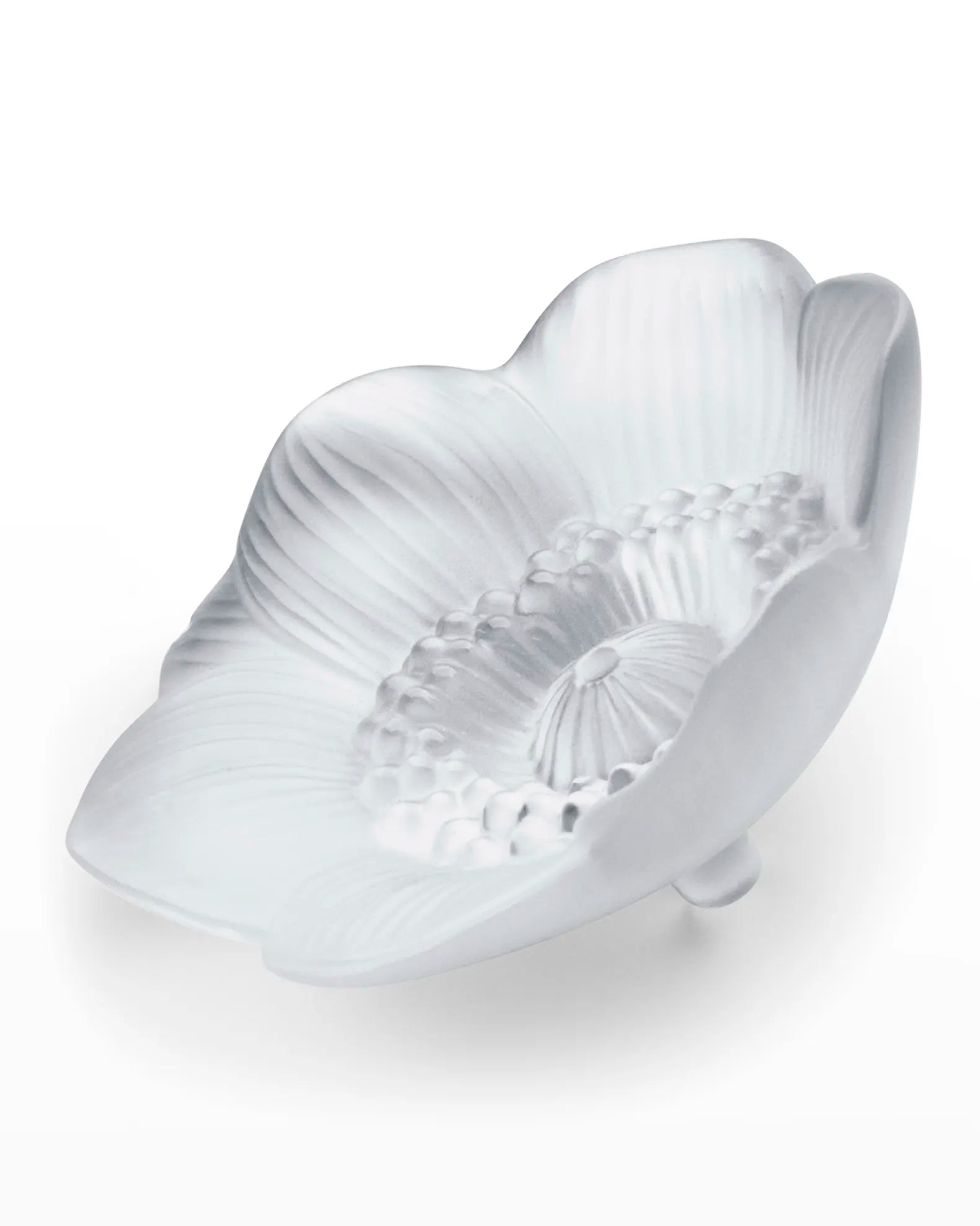 Anemone Figure, Clear
