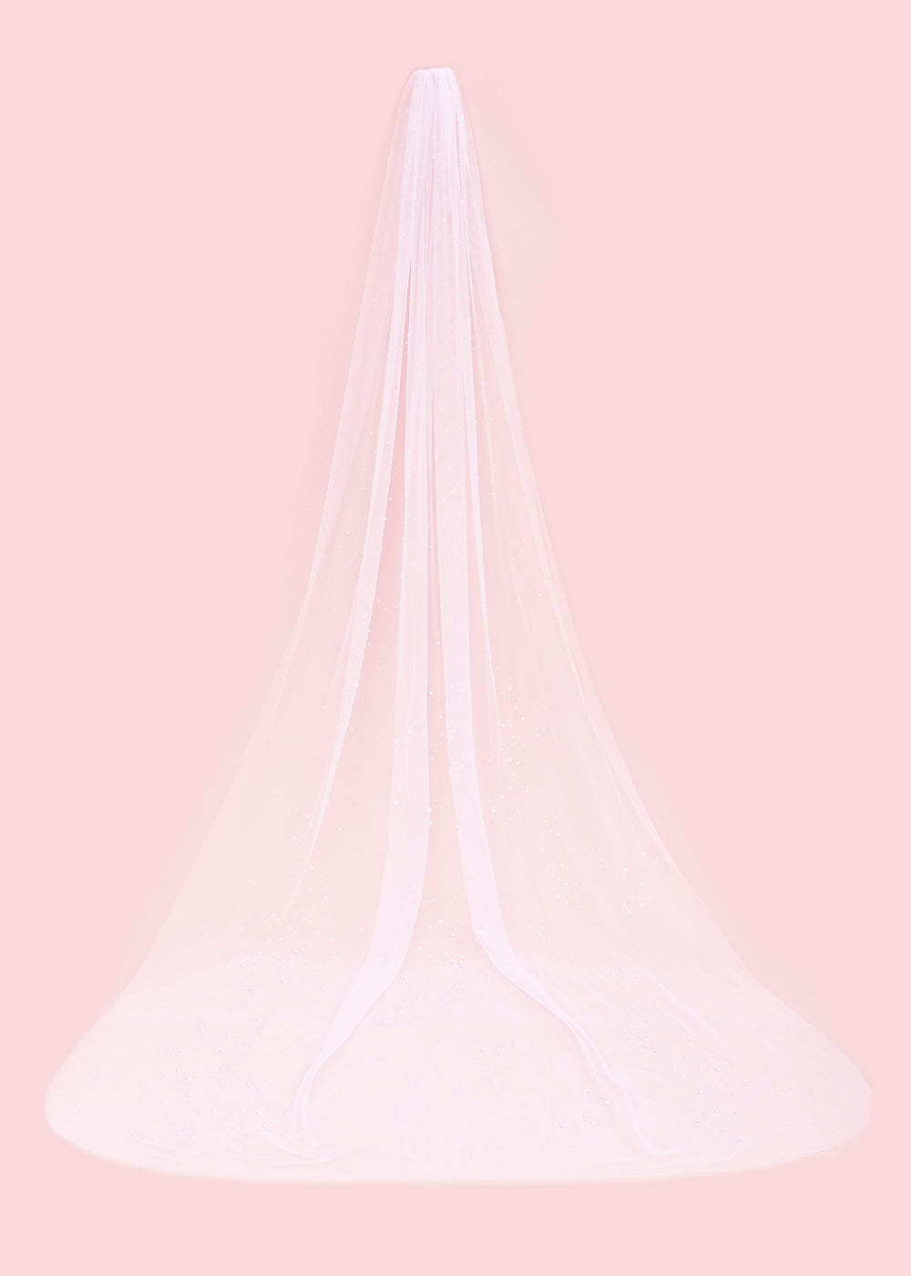 Siena Embellished Wedding Veil