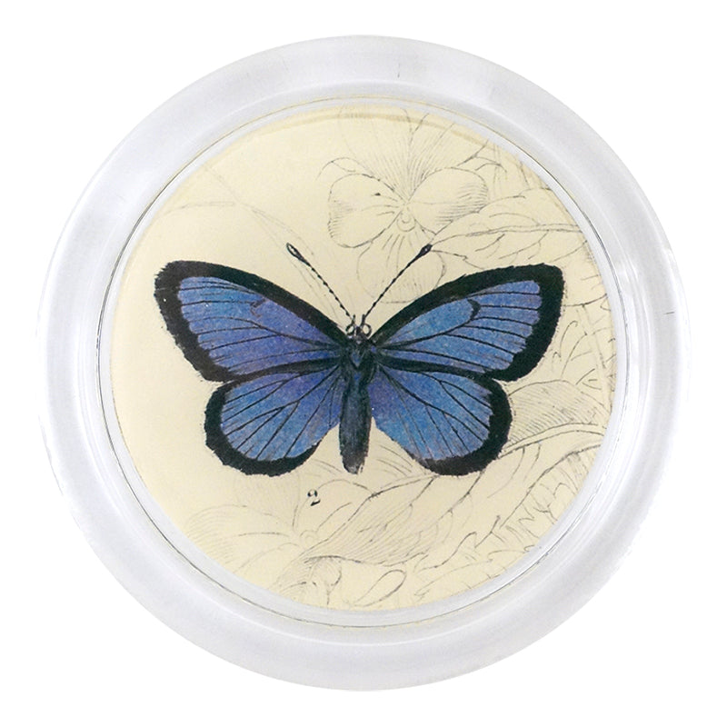 Butterfly Coasters