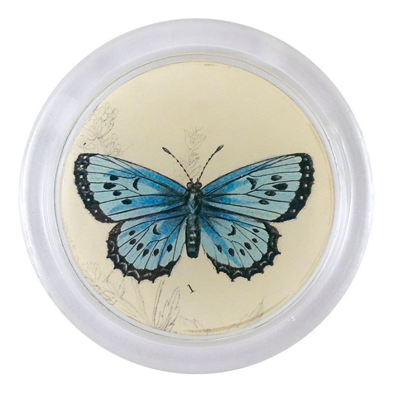 Butterfly Coasters