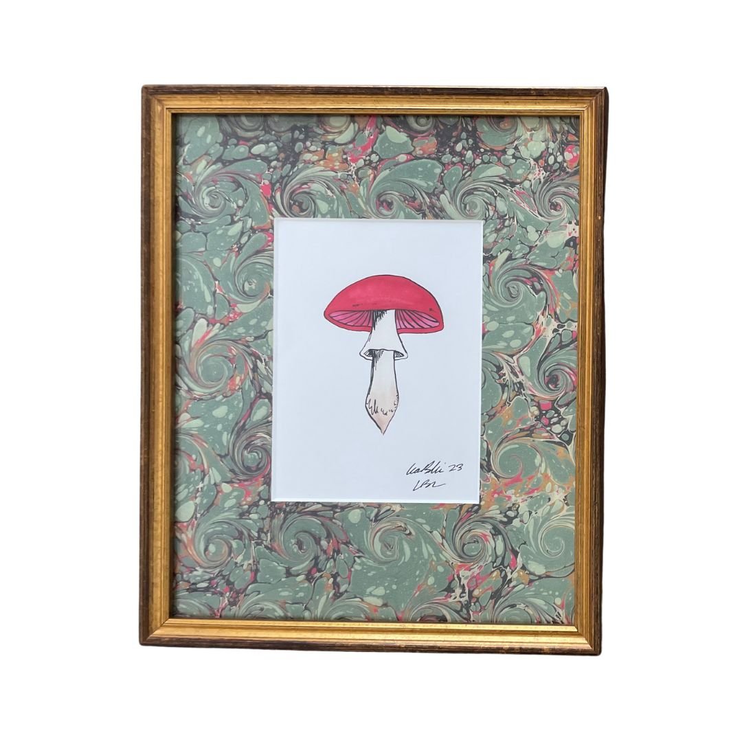 Dark Red Cap Mushroom