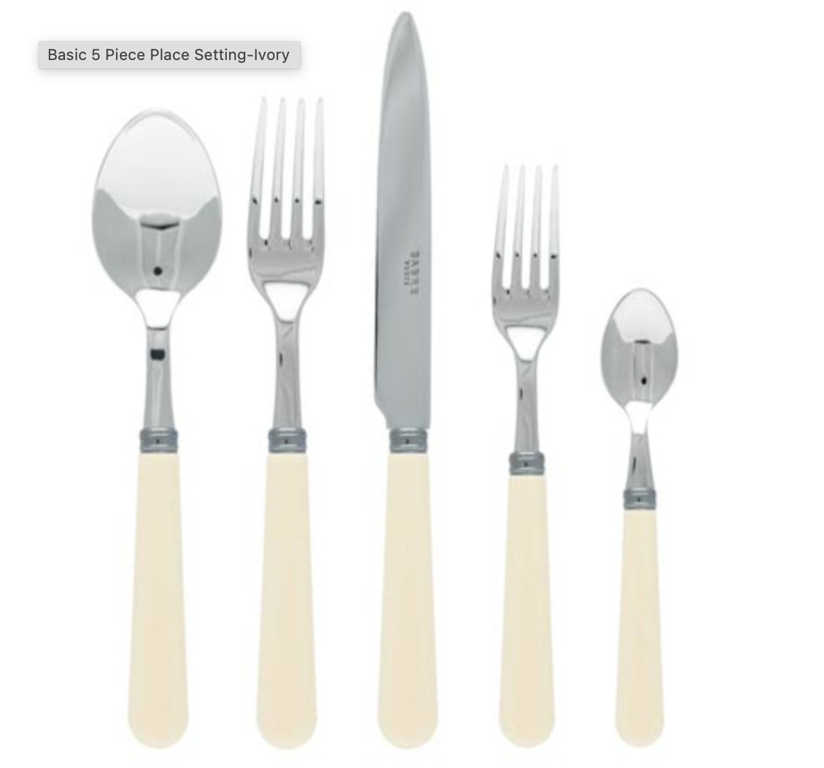 Basic 5 Piece Place Setting-Ivory  Sabre Paris