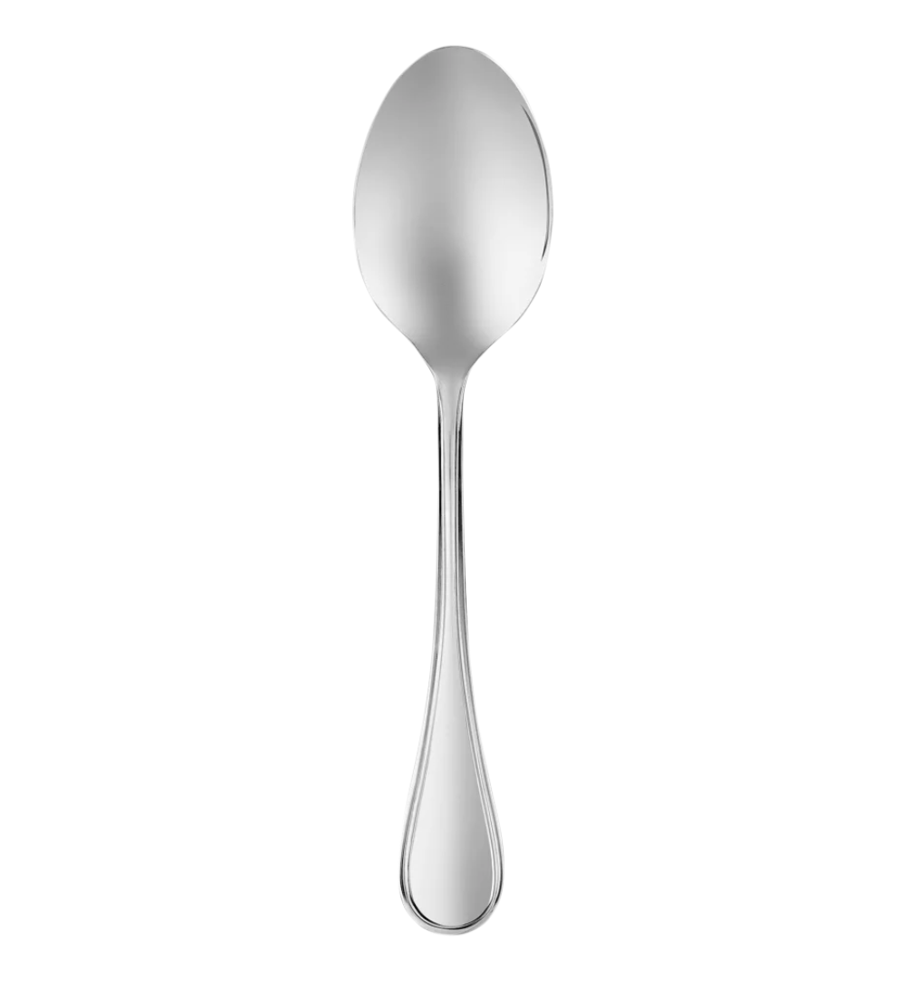 Albi Stainless Steel Serving Spoon